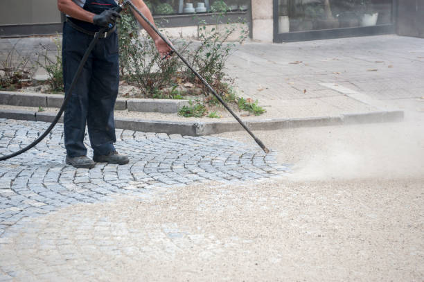 Best Driveway Cleaning and Restoration in Harrington, DE