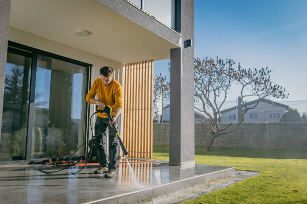 Best Vinyl Siding Pressure Washing in Harrington, DE